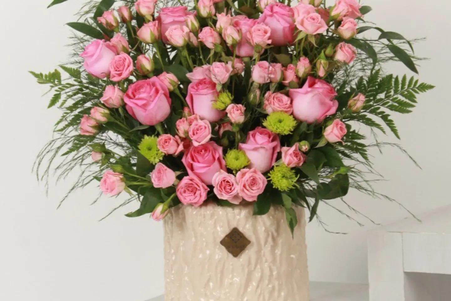 فازة اويسس