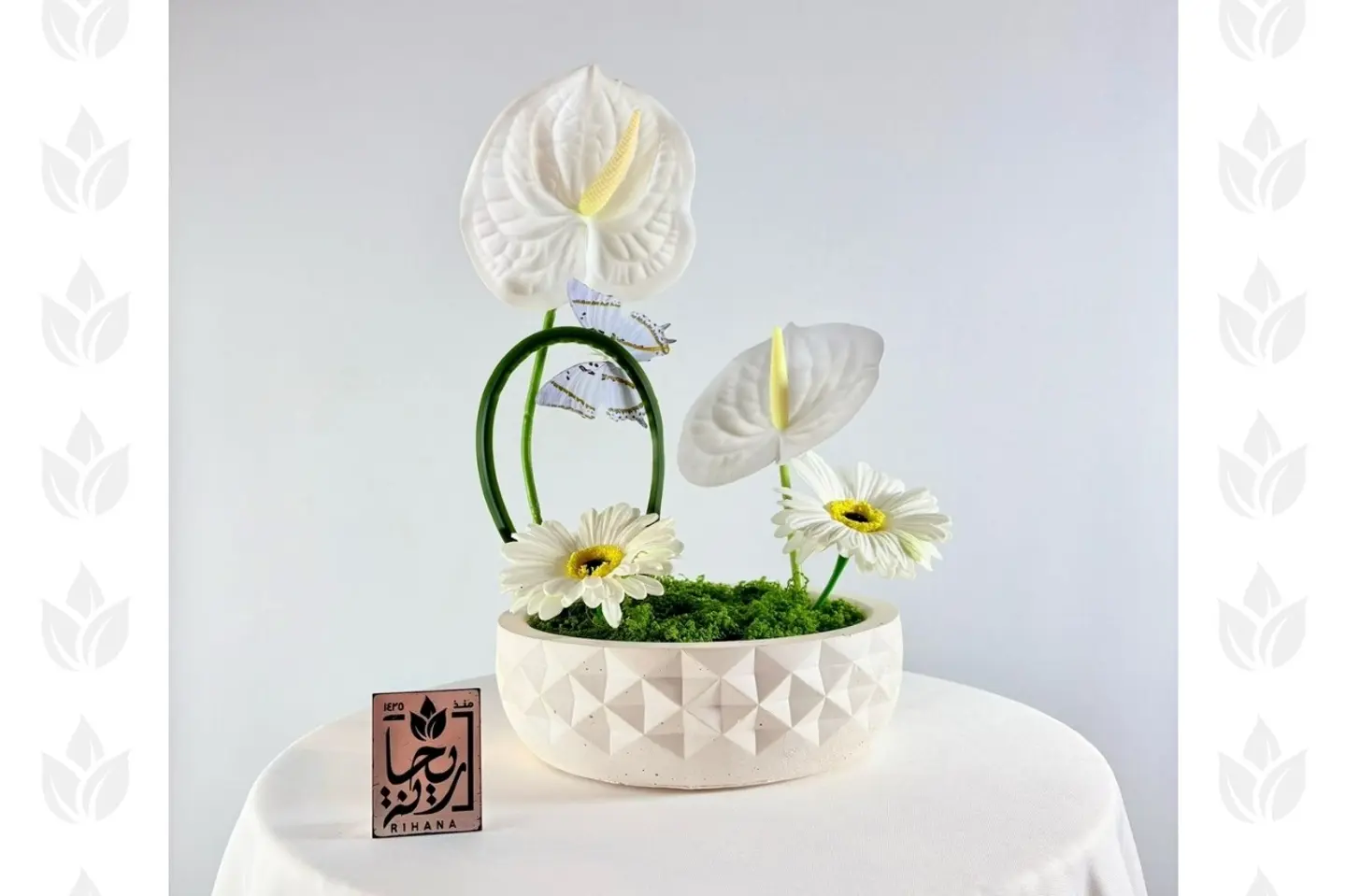 إشراقة الأنثوريوم