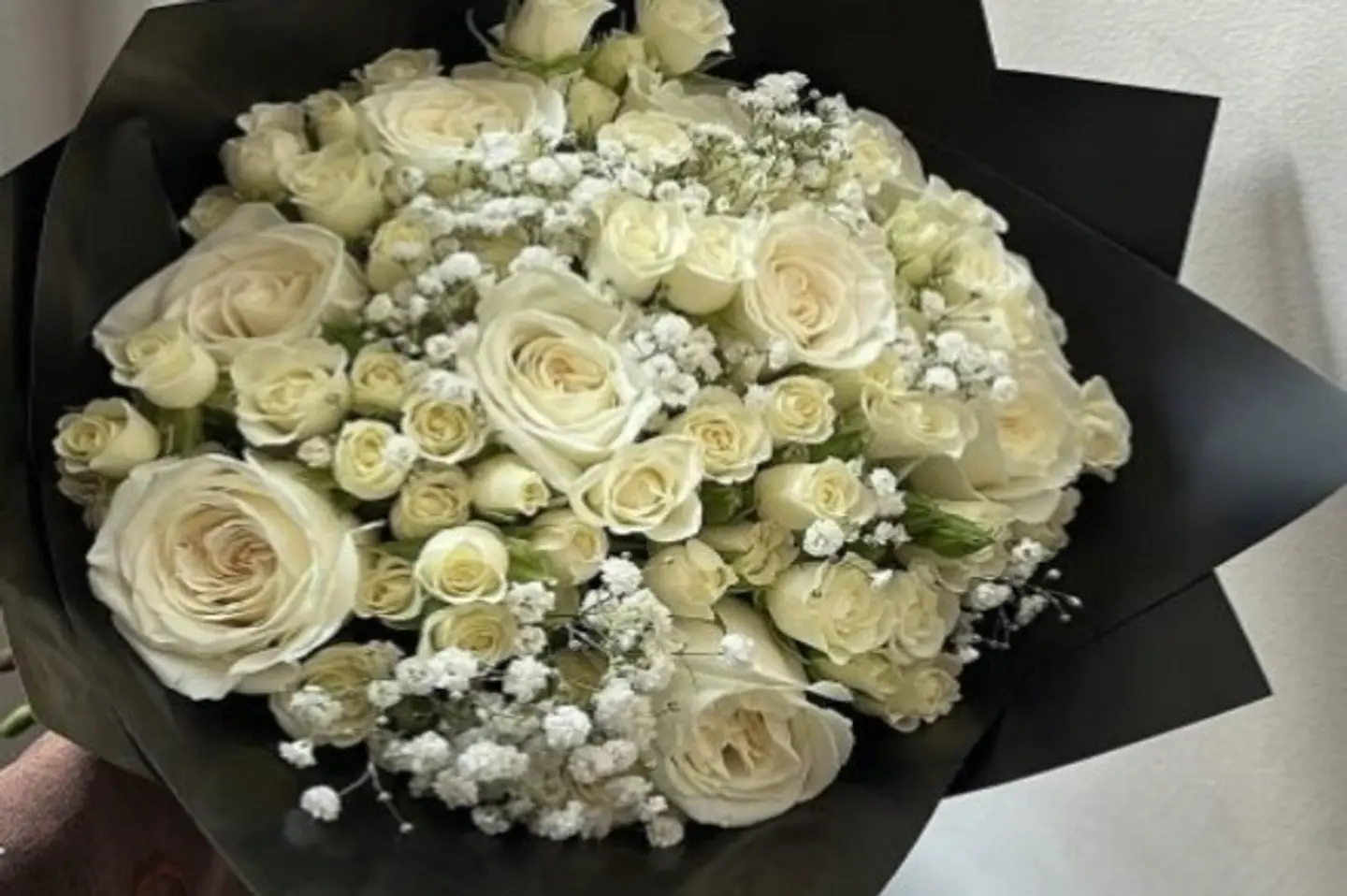 توهج الياقوت ١