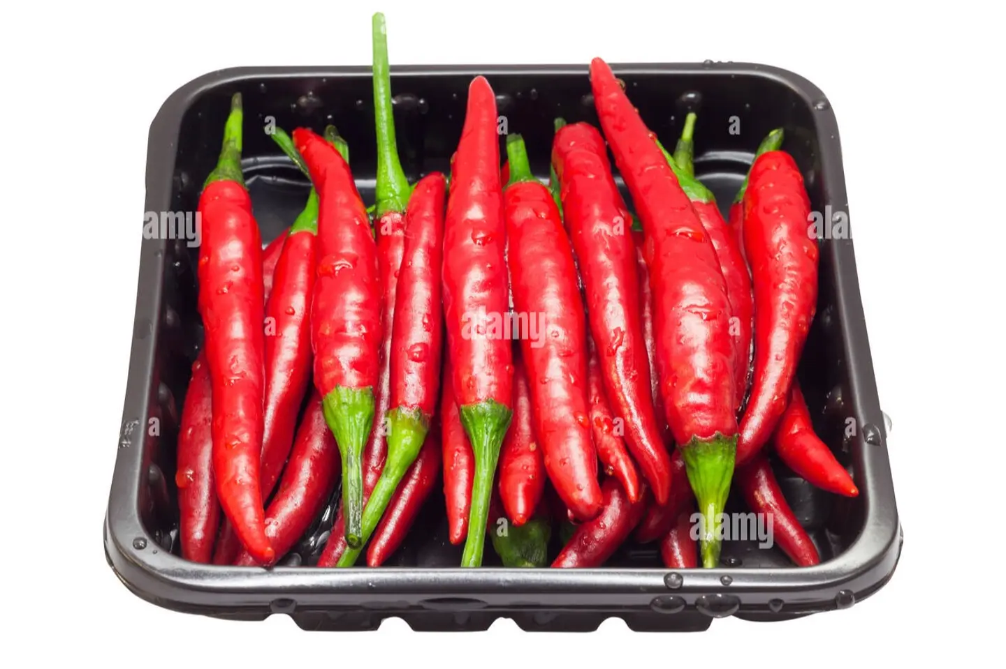الفلفل الحار الأحمر التايلاندي