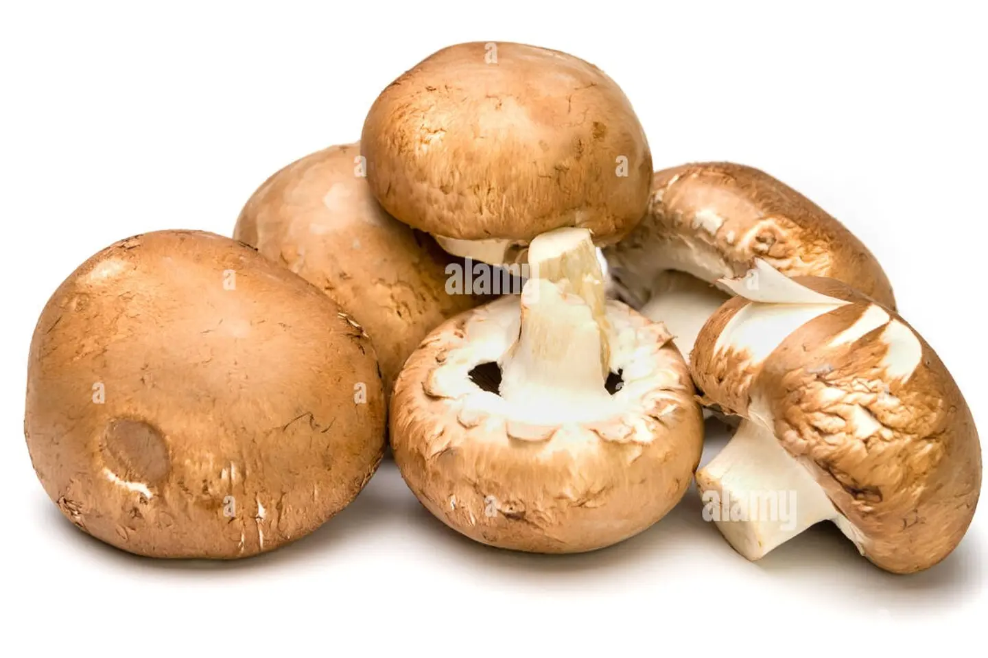 فطر بني عماني