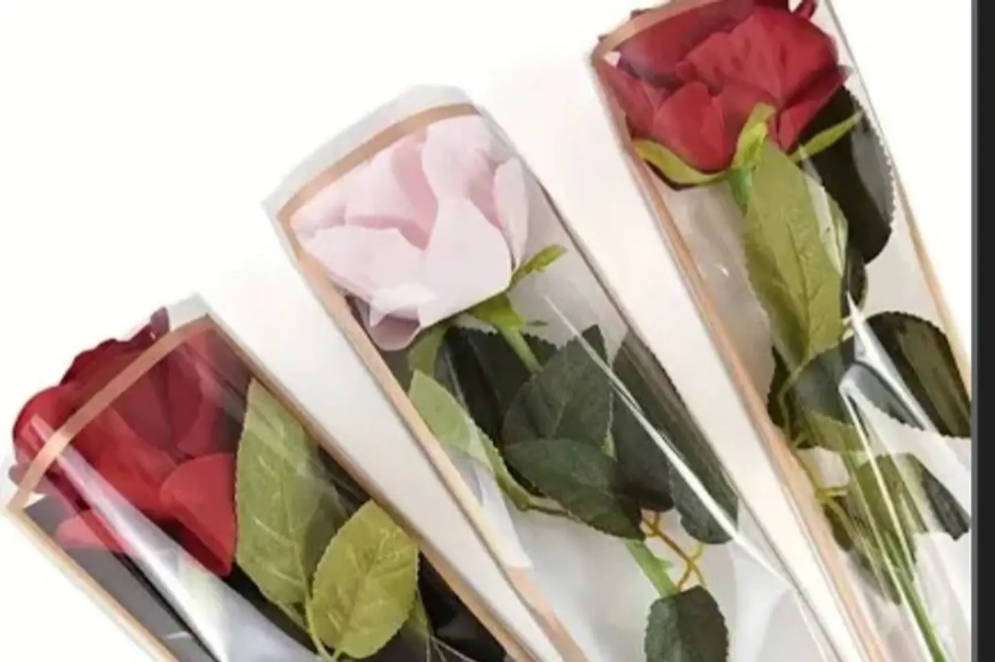 وردة جوري - لون الوردة احمر