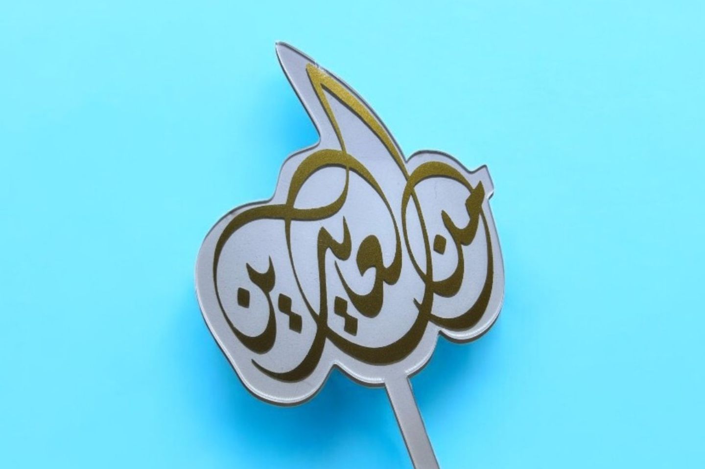 تغريسة من العايدين ٠٢٢٤