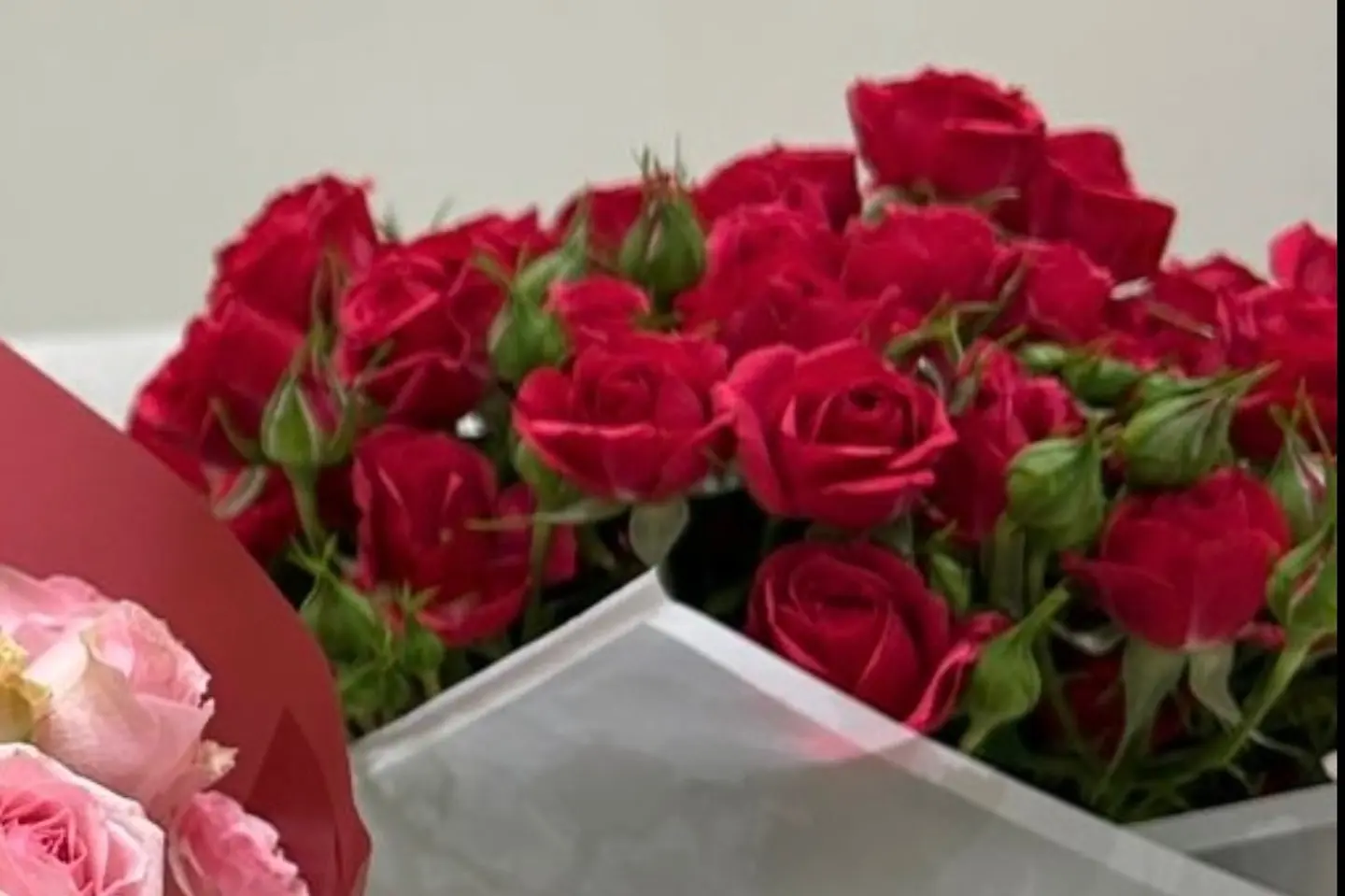 بوكيه بيبي روز احمر