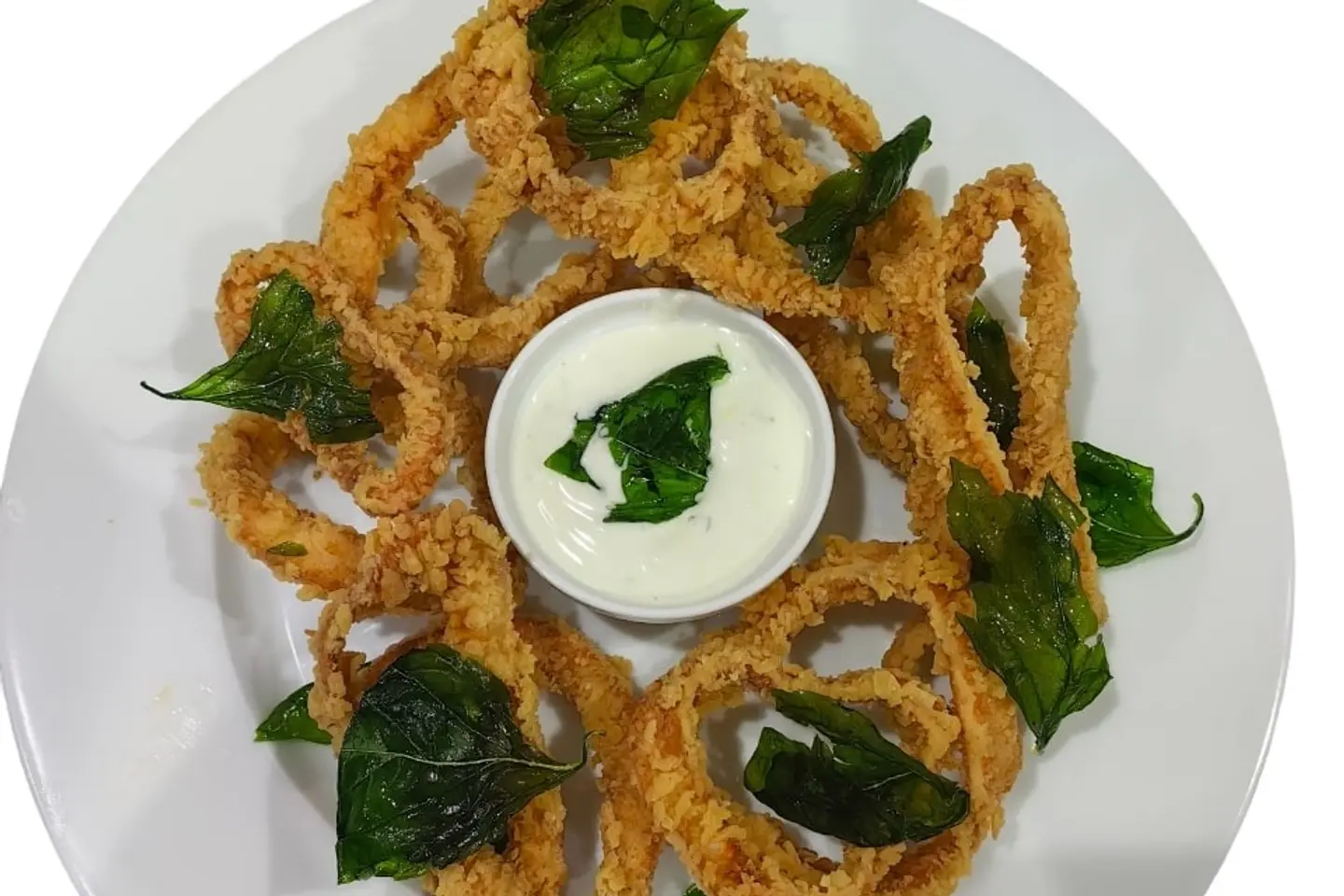 Olio Calamari Fritti