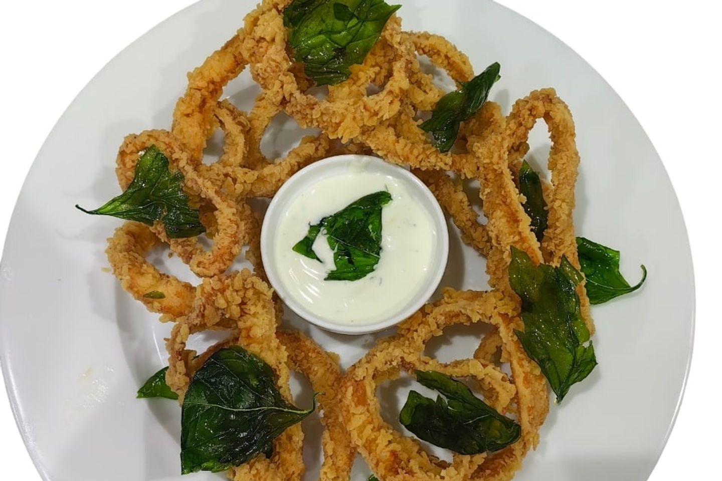 Olio Calamari Fritti