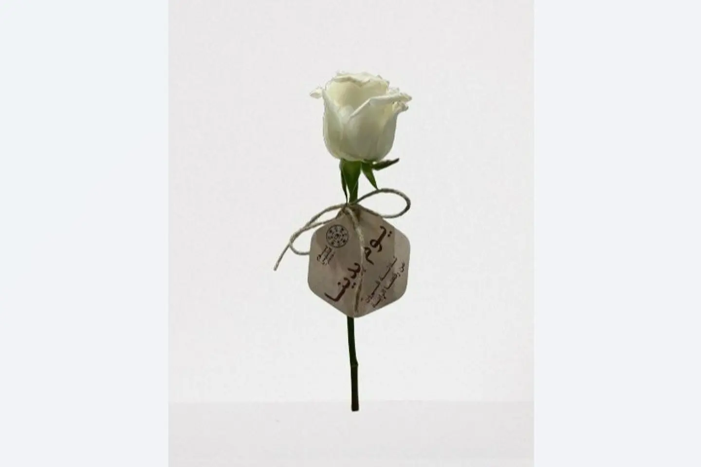 Founding Day Rose 1
