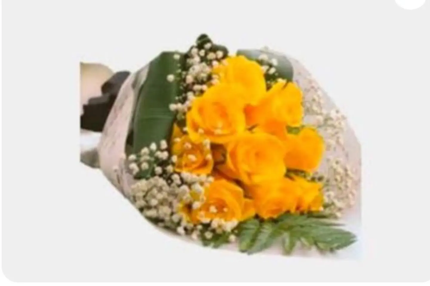 باقة أنا والشوق