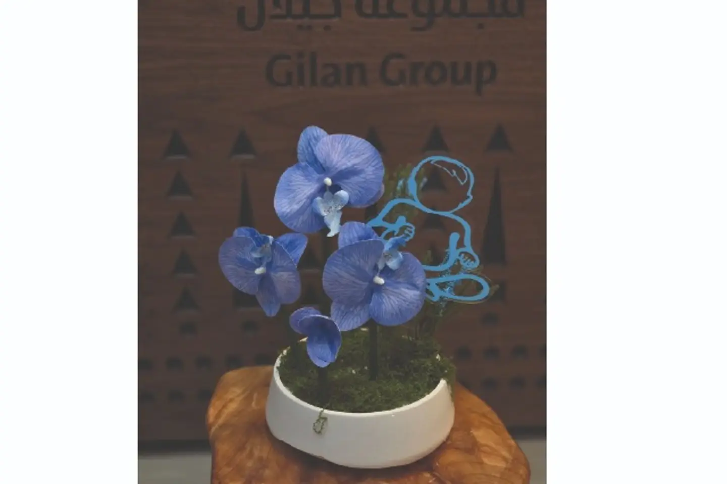 فازة مواليد