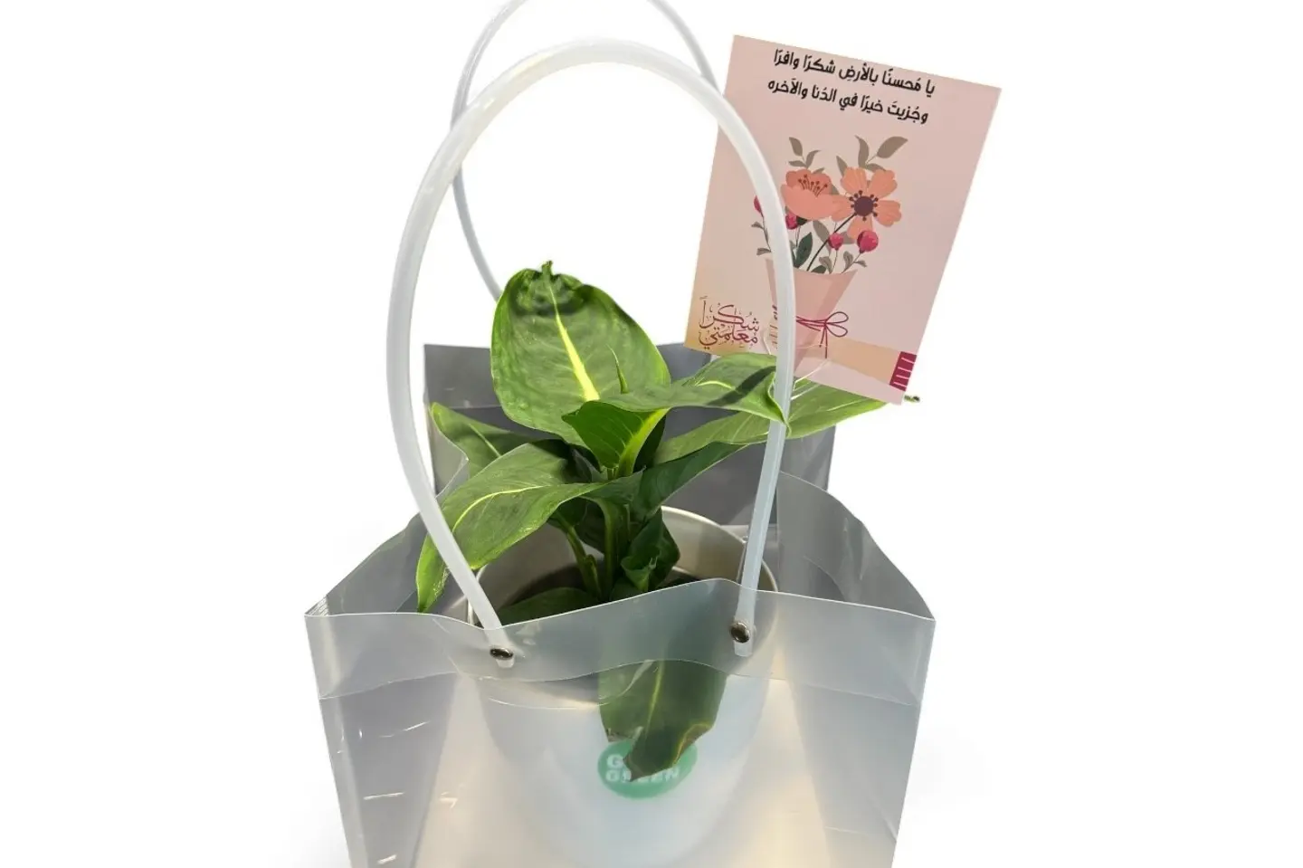 أفضل معلم على الإطلاق