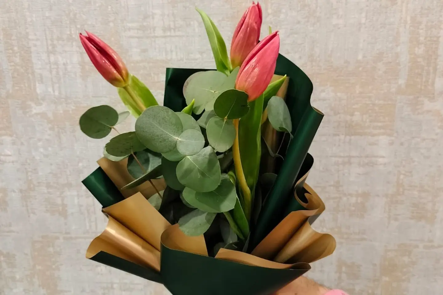 التوليب الناعم