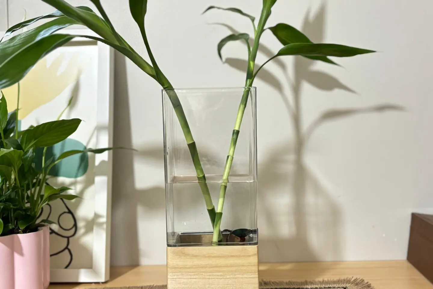 سمكة فايتر مع بامبو طبيعي