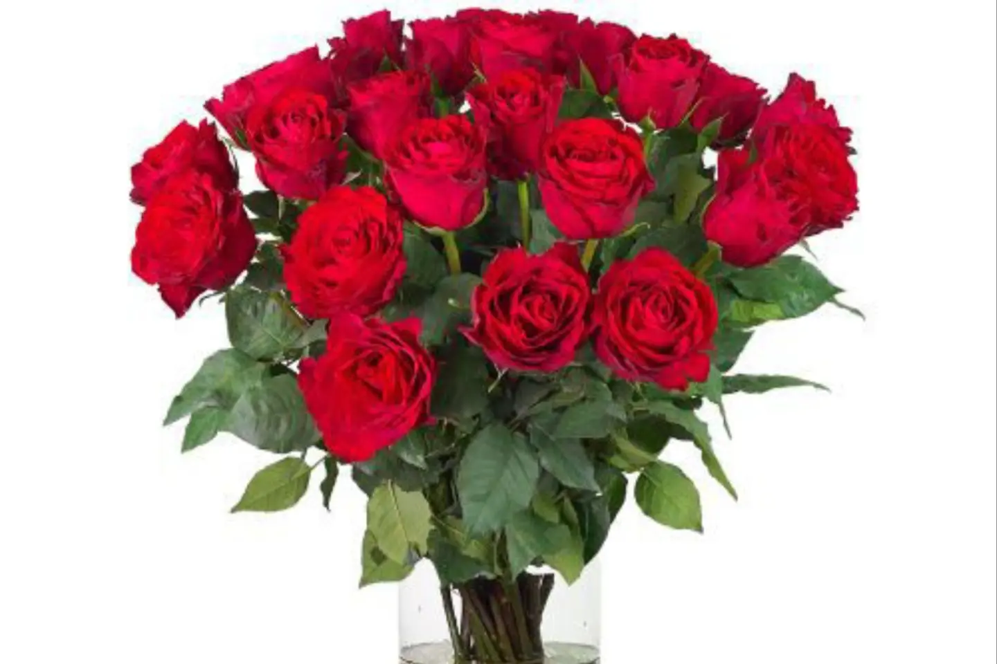 الورود في مزهرية