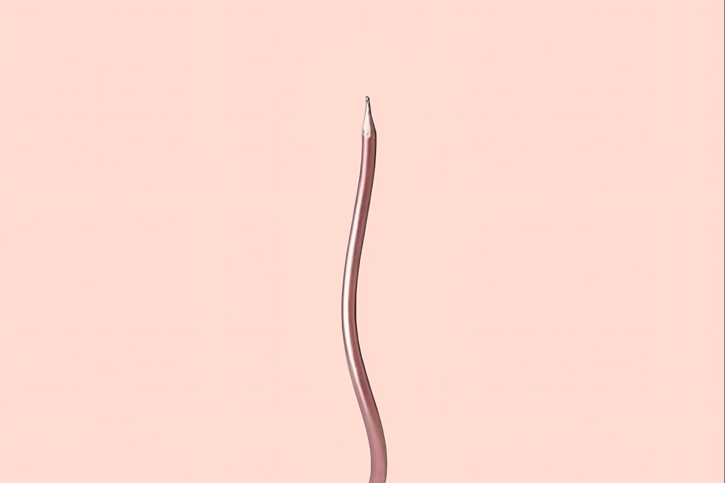 شمعة