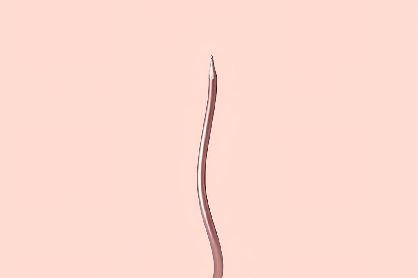 شمعة