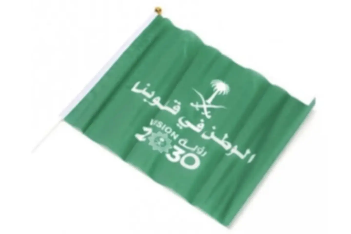 Flag 2030   30x45cm