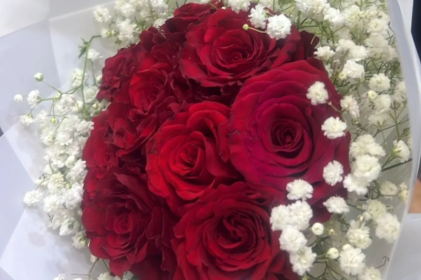 A Bouquet Of Ten Red Roses With A White Cover