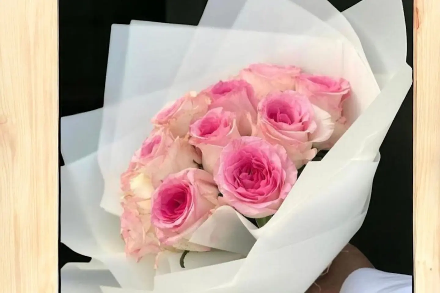Rose 25