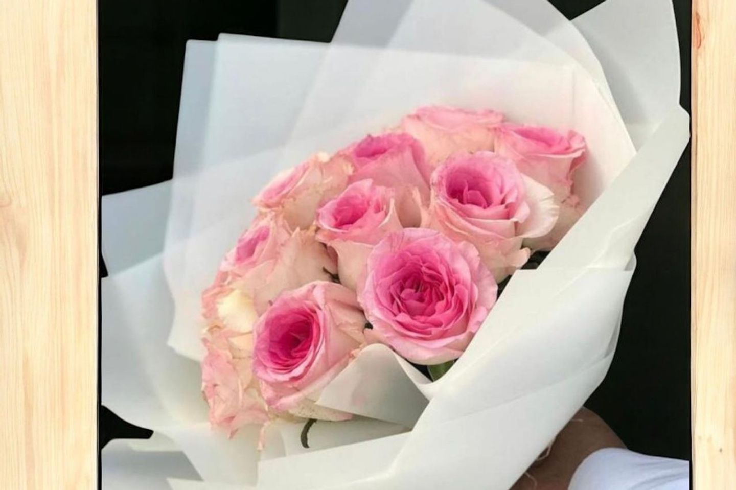 Rose 25