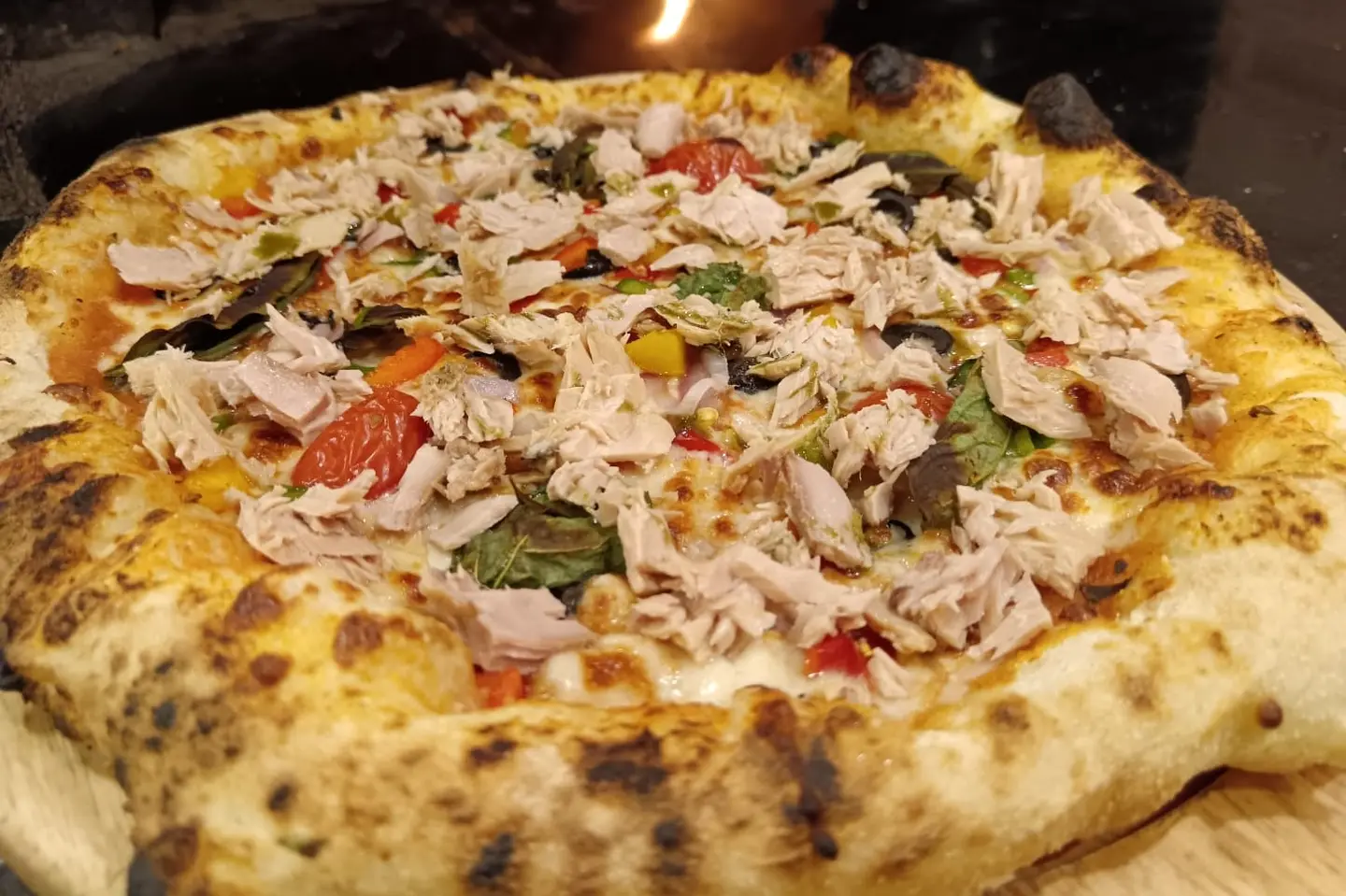Tuna Pizza