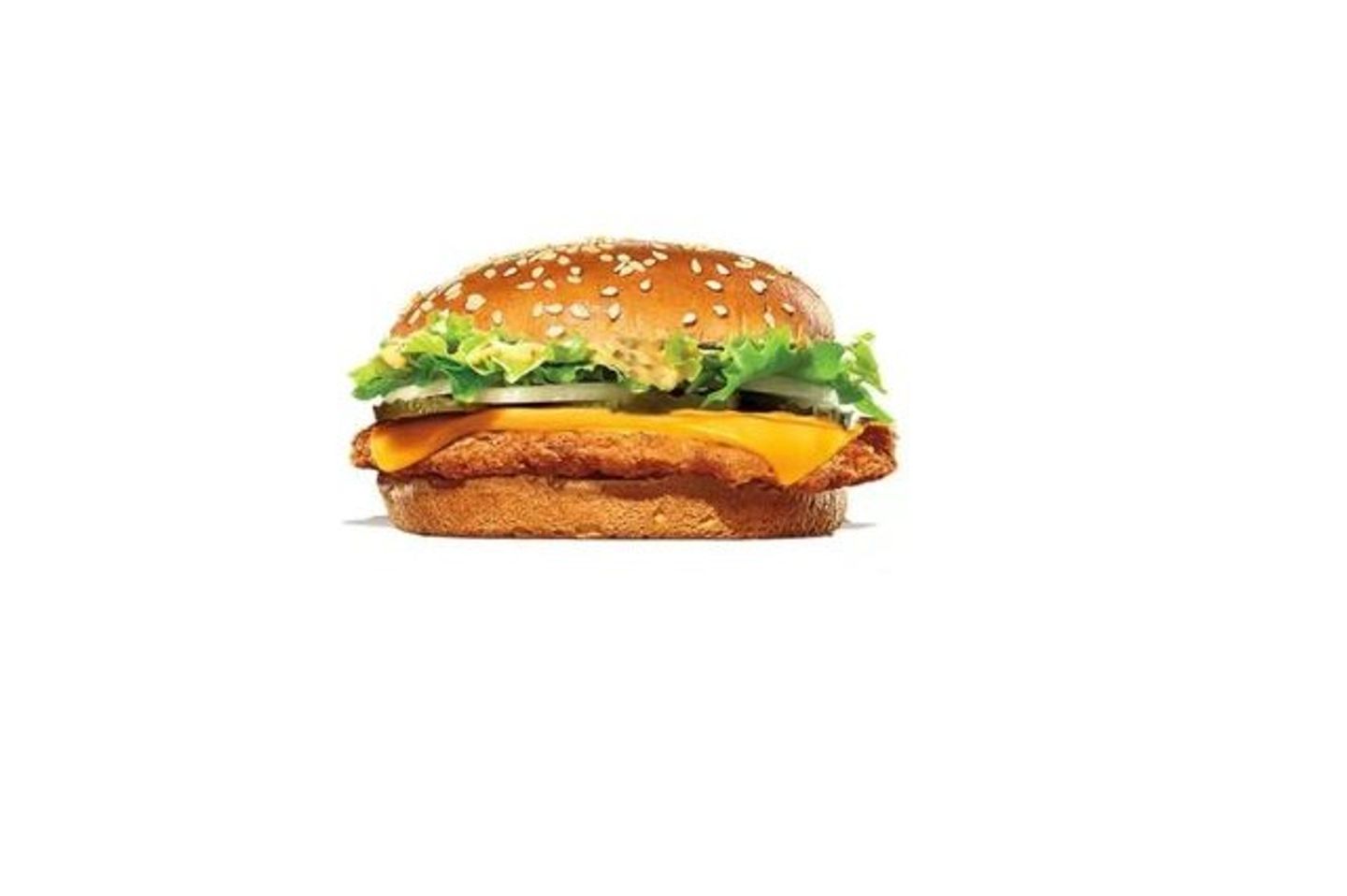 Chicken Burger
