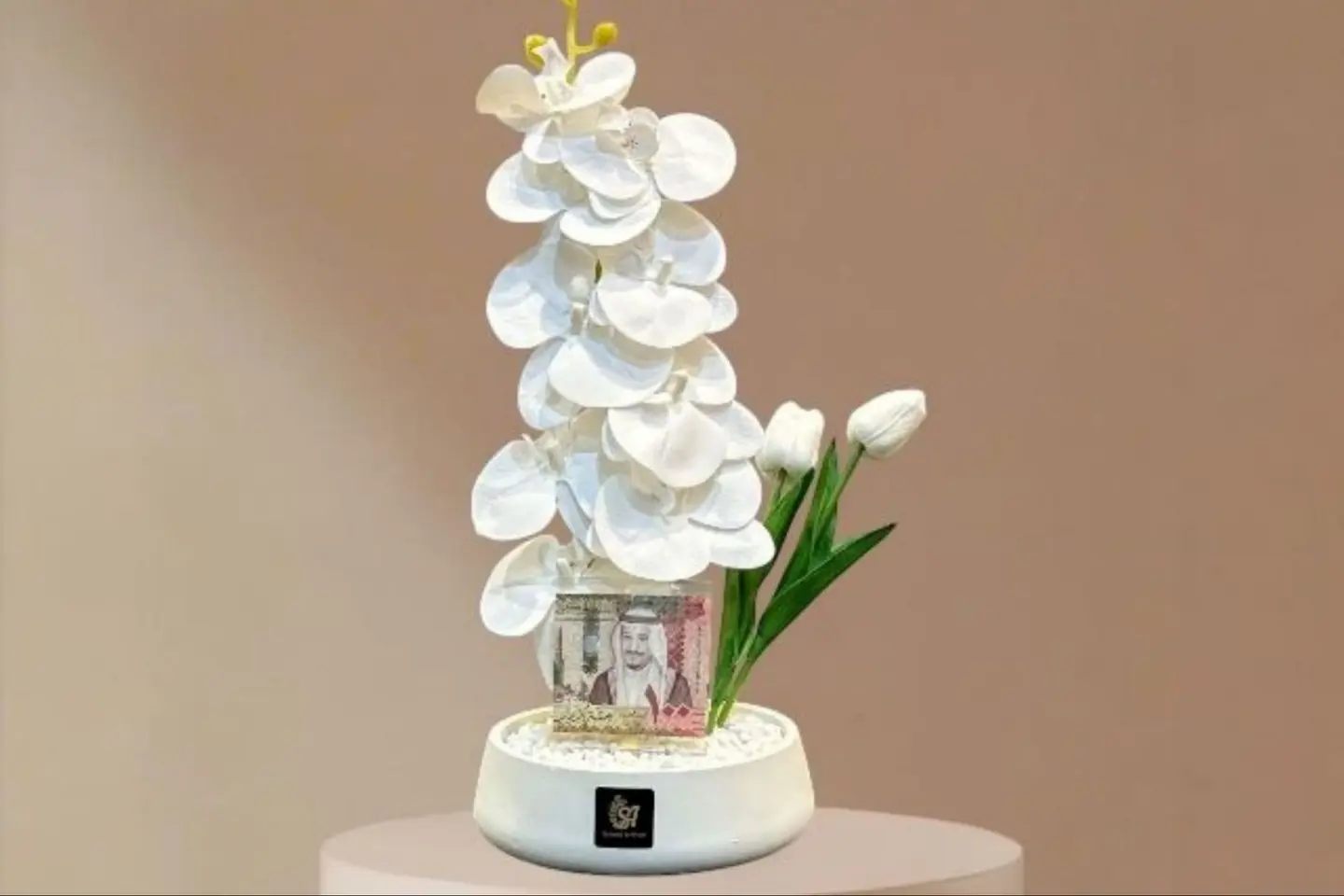 فازة الاوركيد الحصرية