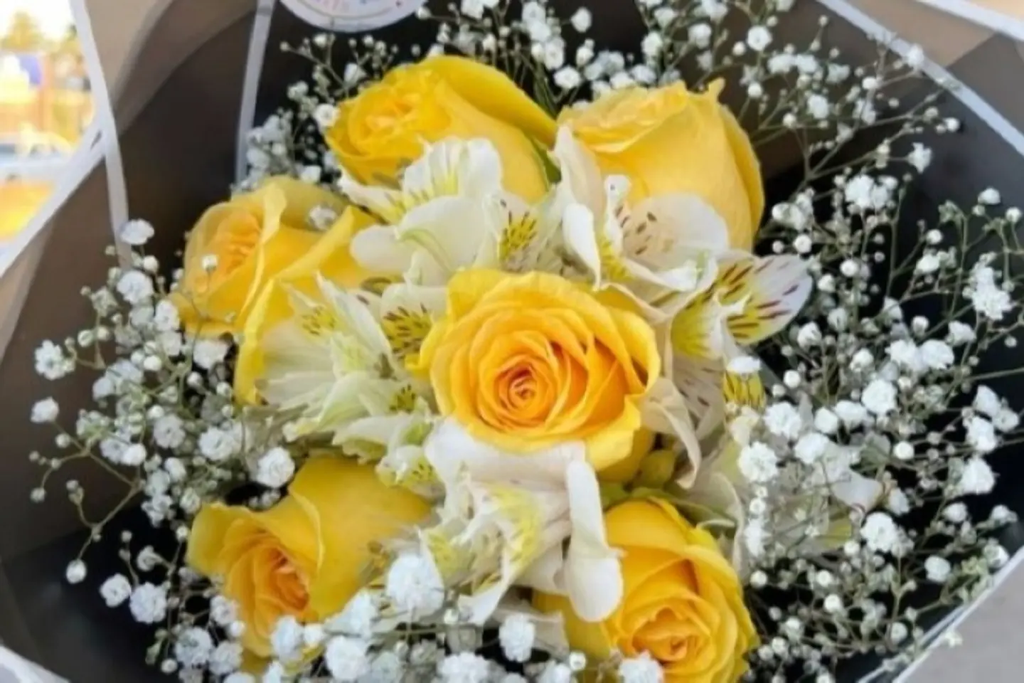 إشراقة ذهبية ١٣