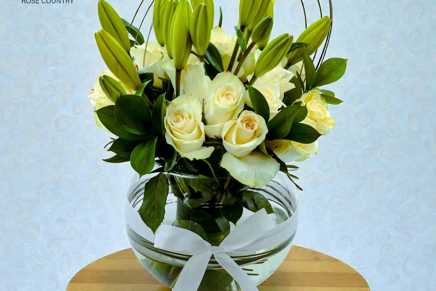 فازة بيور ليلي