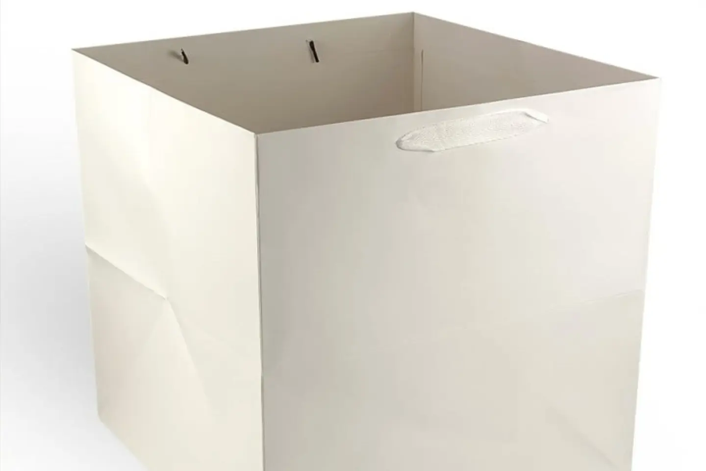 Large White Bag