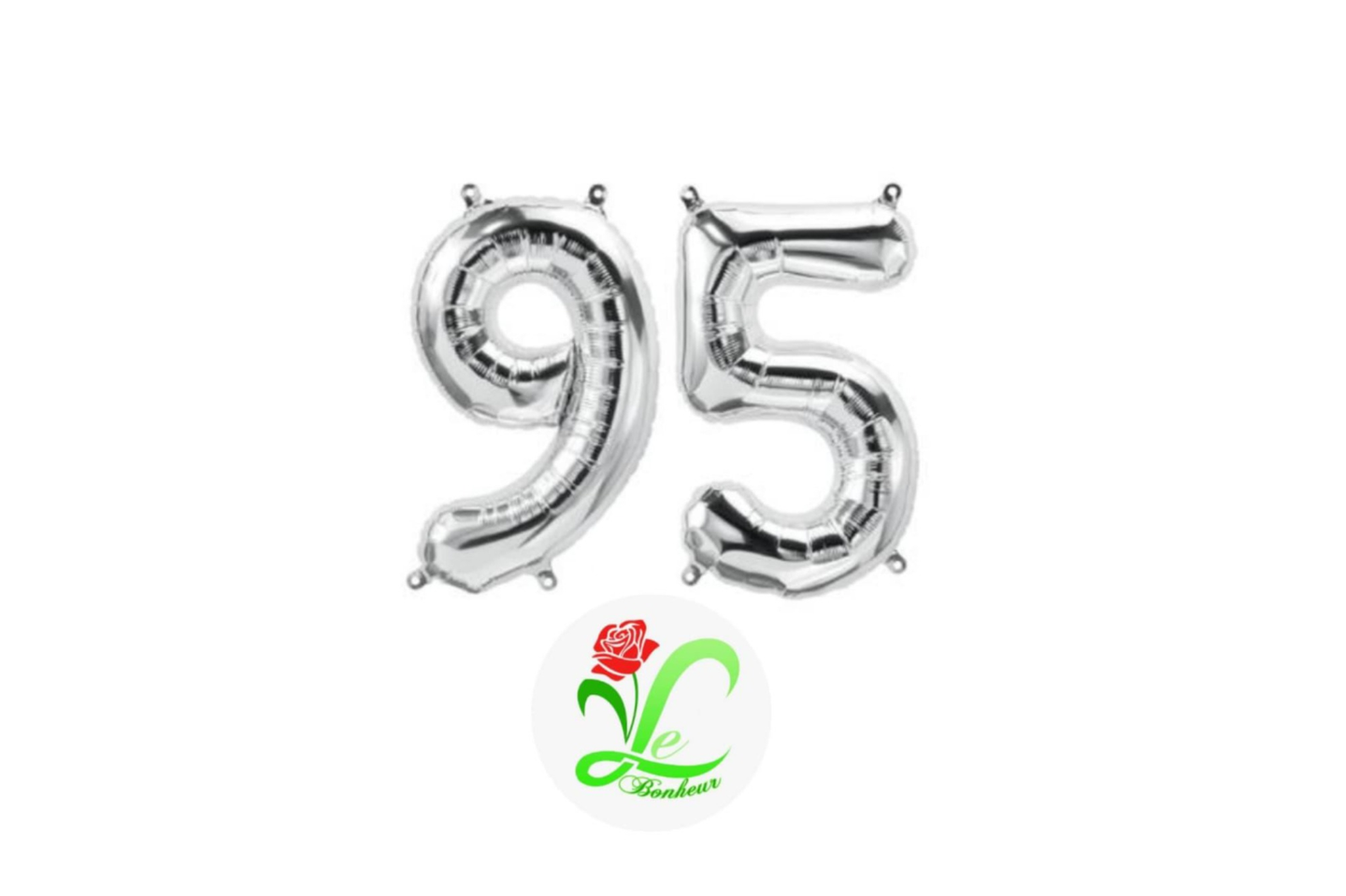 رقم يوم وطني ٩٥
