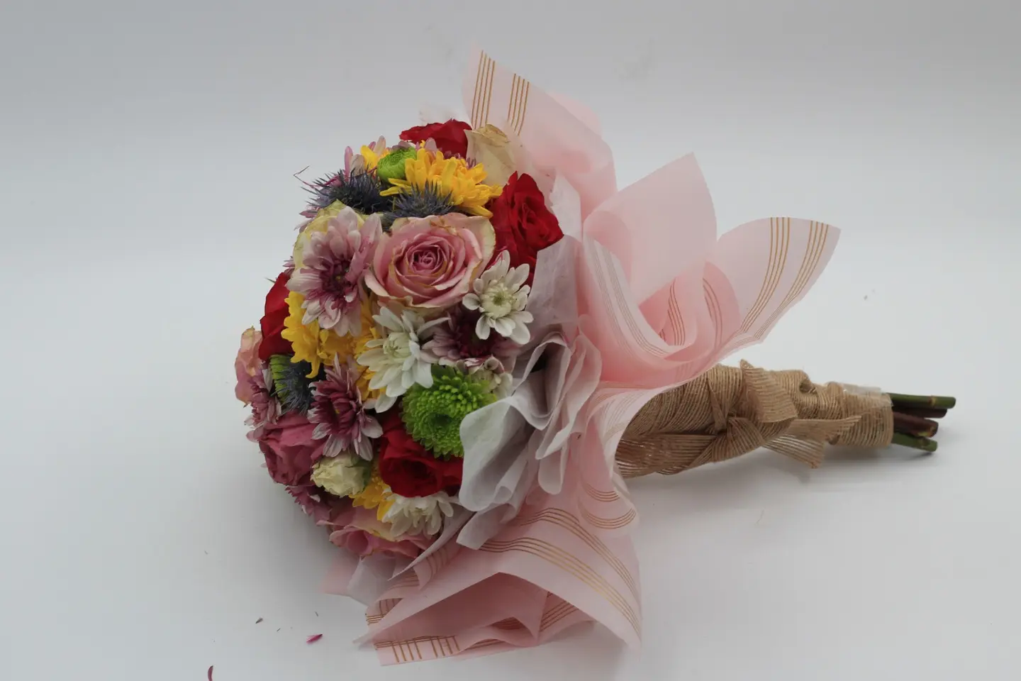 وردة و شتلة ٠٠٠٢٤