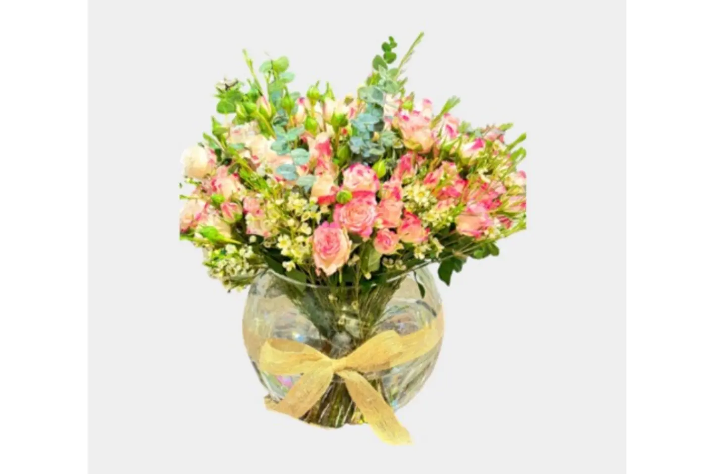 Double Color Pink Baby Rose With Vase