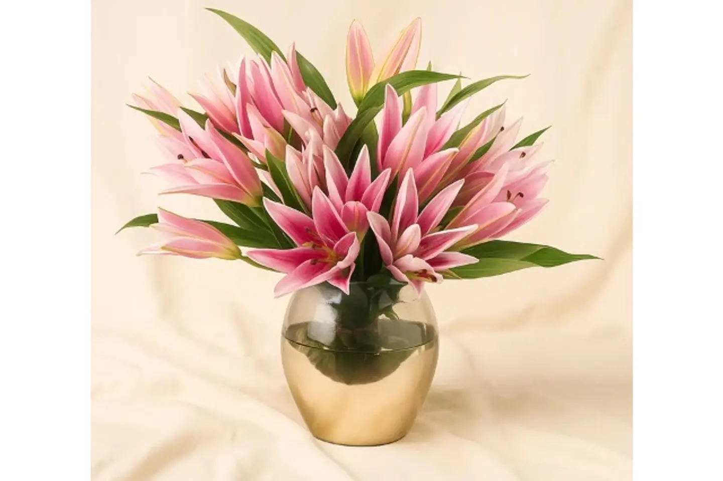 Vasa Beautiful Star Kaiser