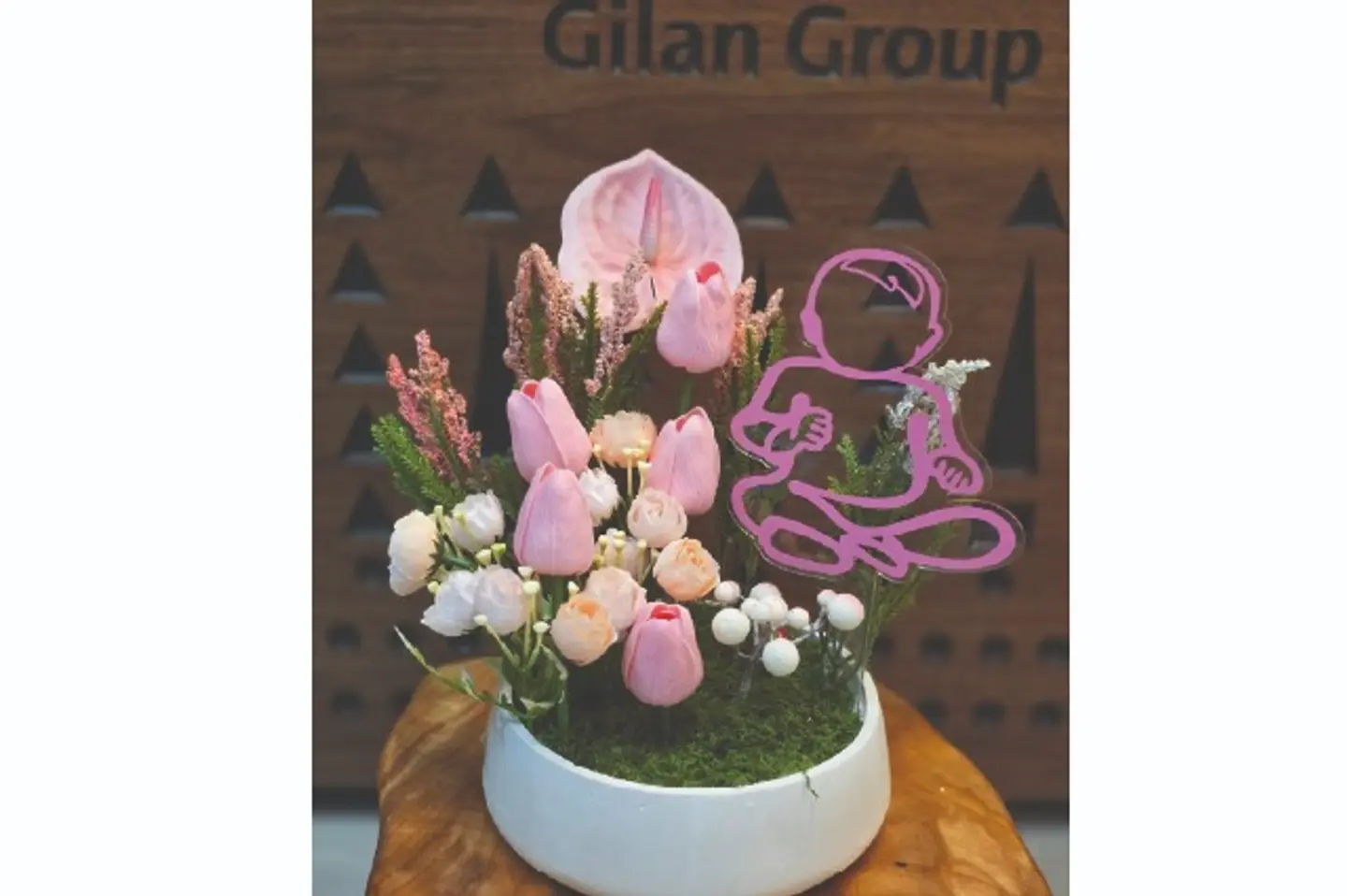 هديه مولوده الشكل الجديد