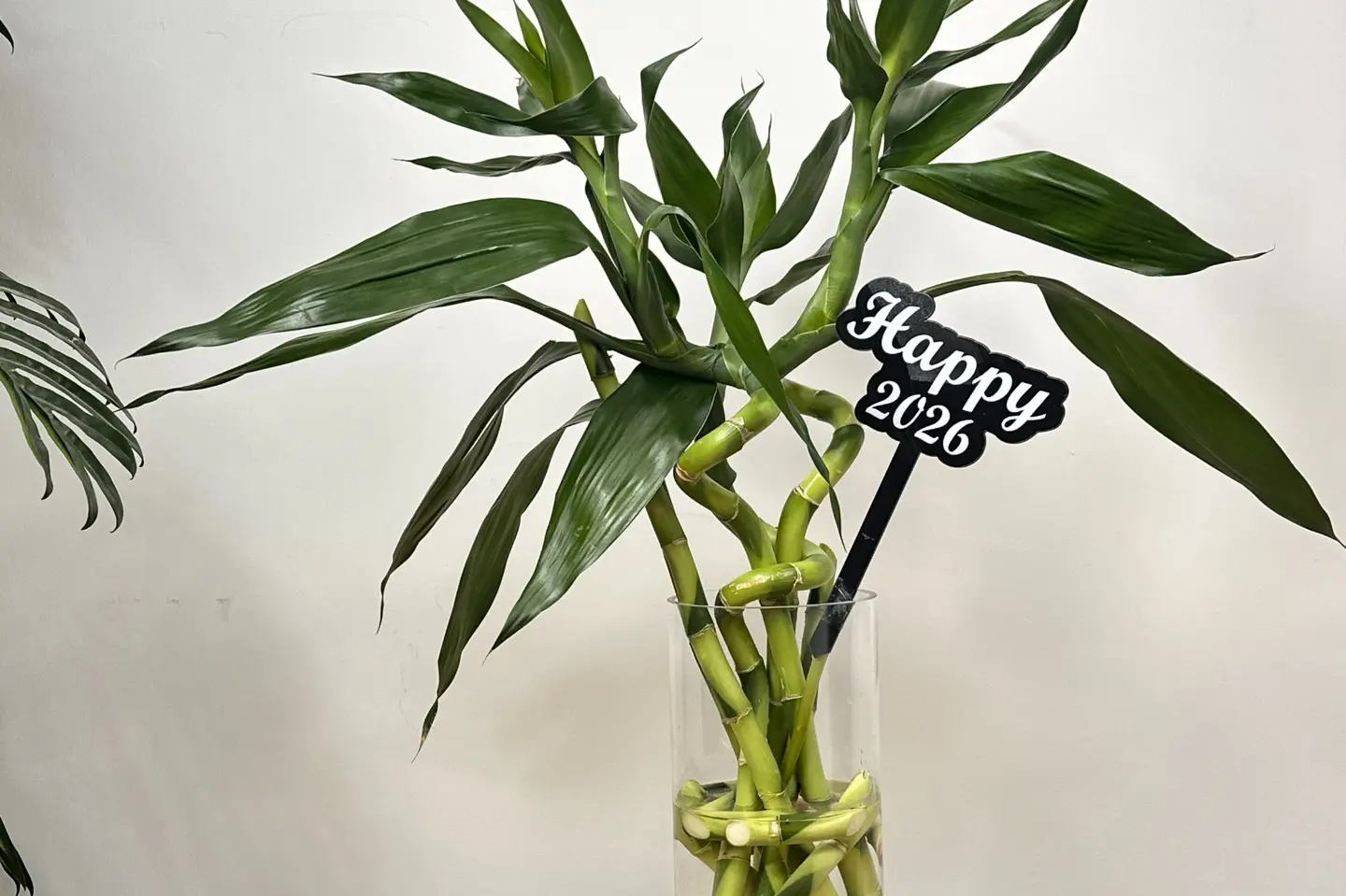 هدايا السنه- فازة البامبو