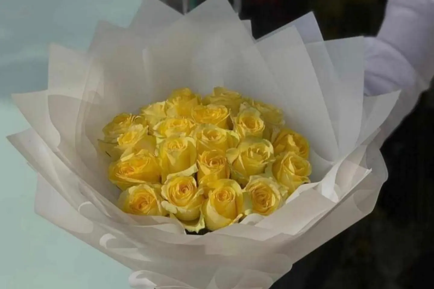 باقة الاصفر