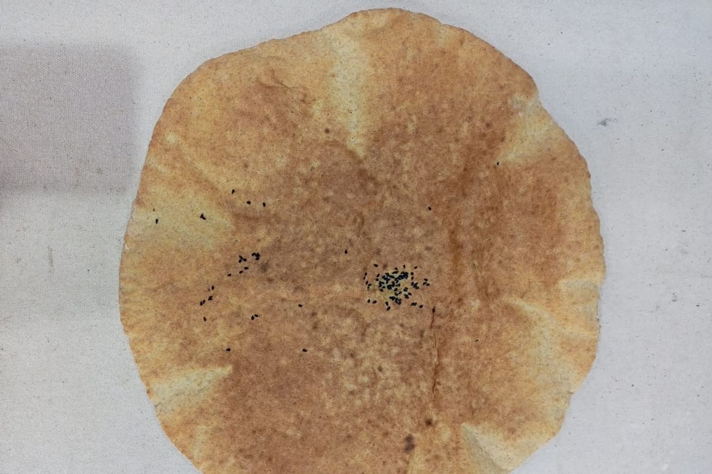 Barley Bread