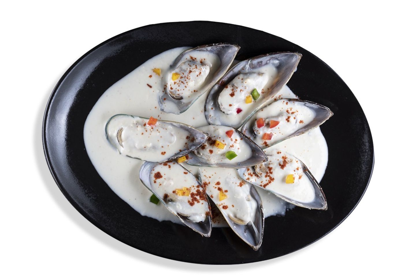 Chowder Seashells