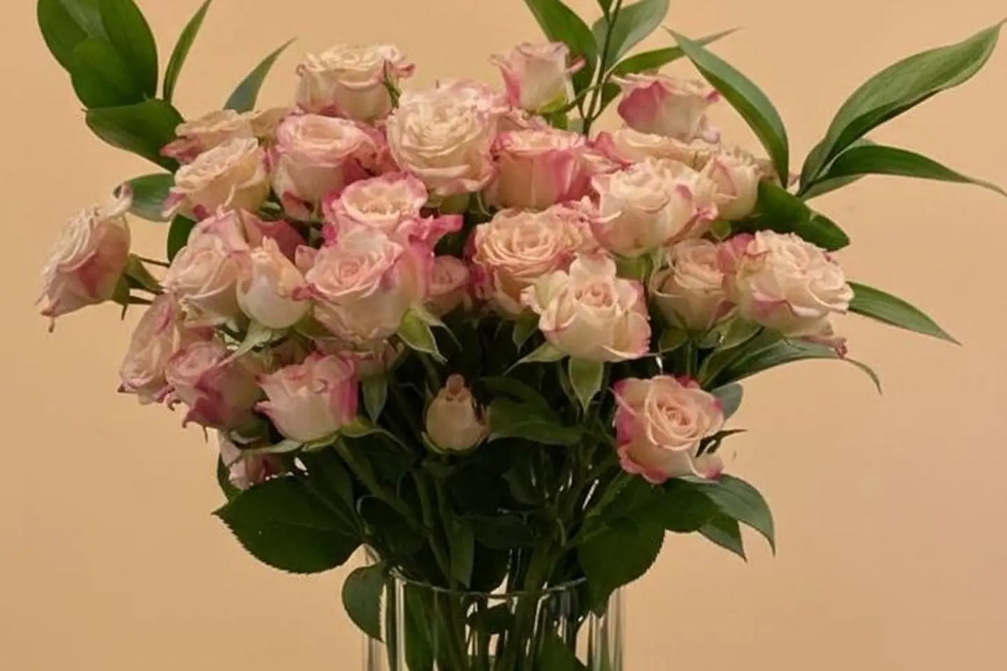 فازة سحر الظلال