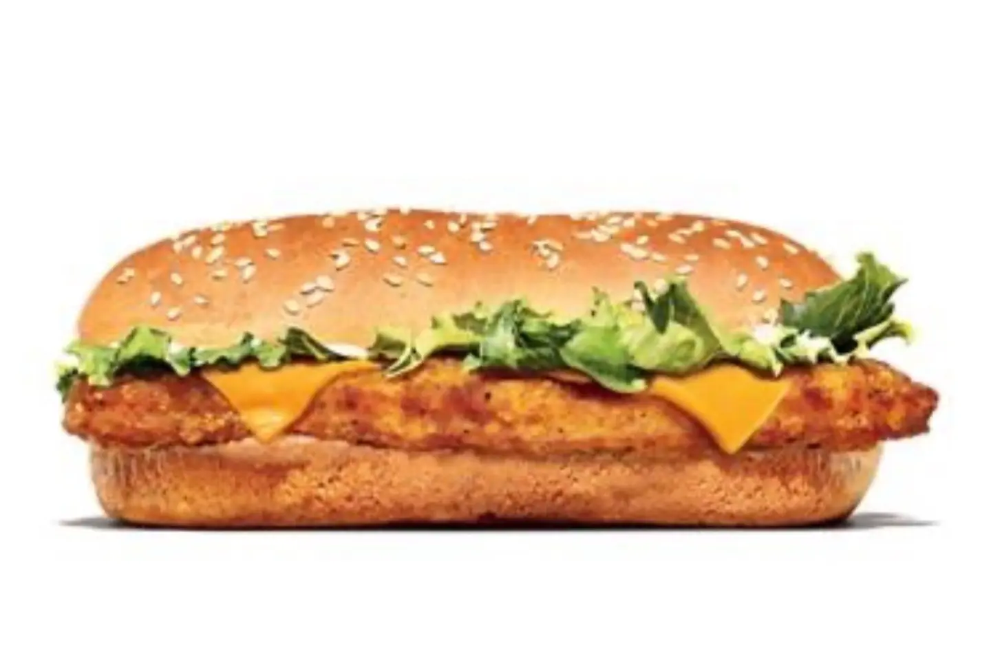 كودو دجاج فيلية