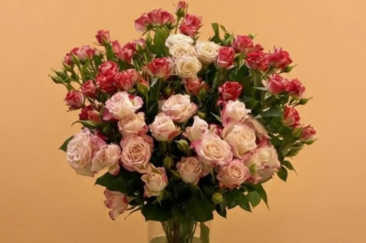 ورد وريحان ست وعشرون