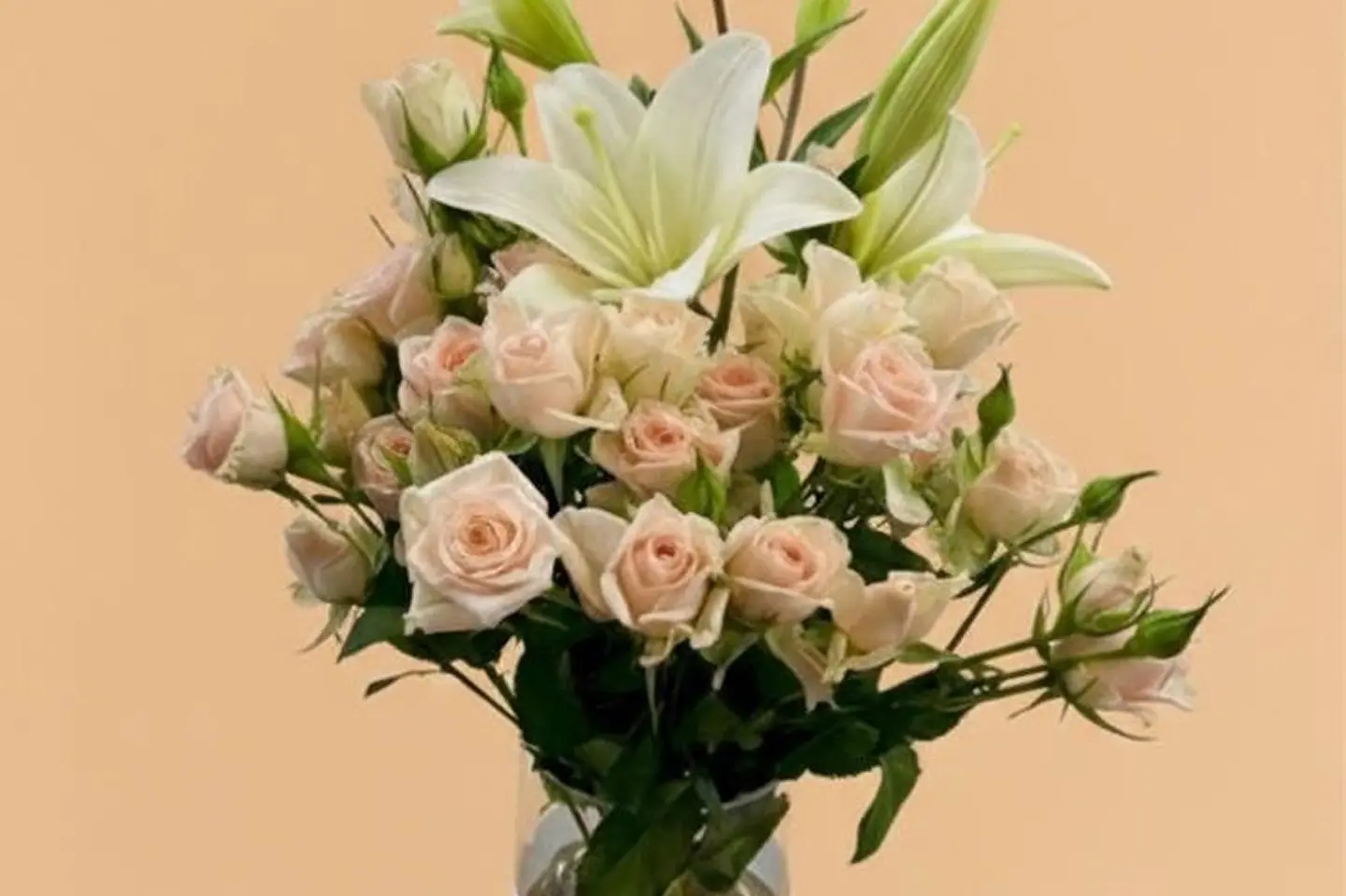 فازة عذب تسعة