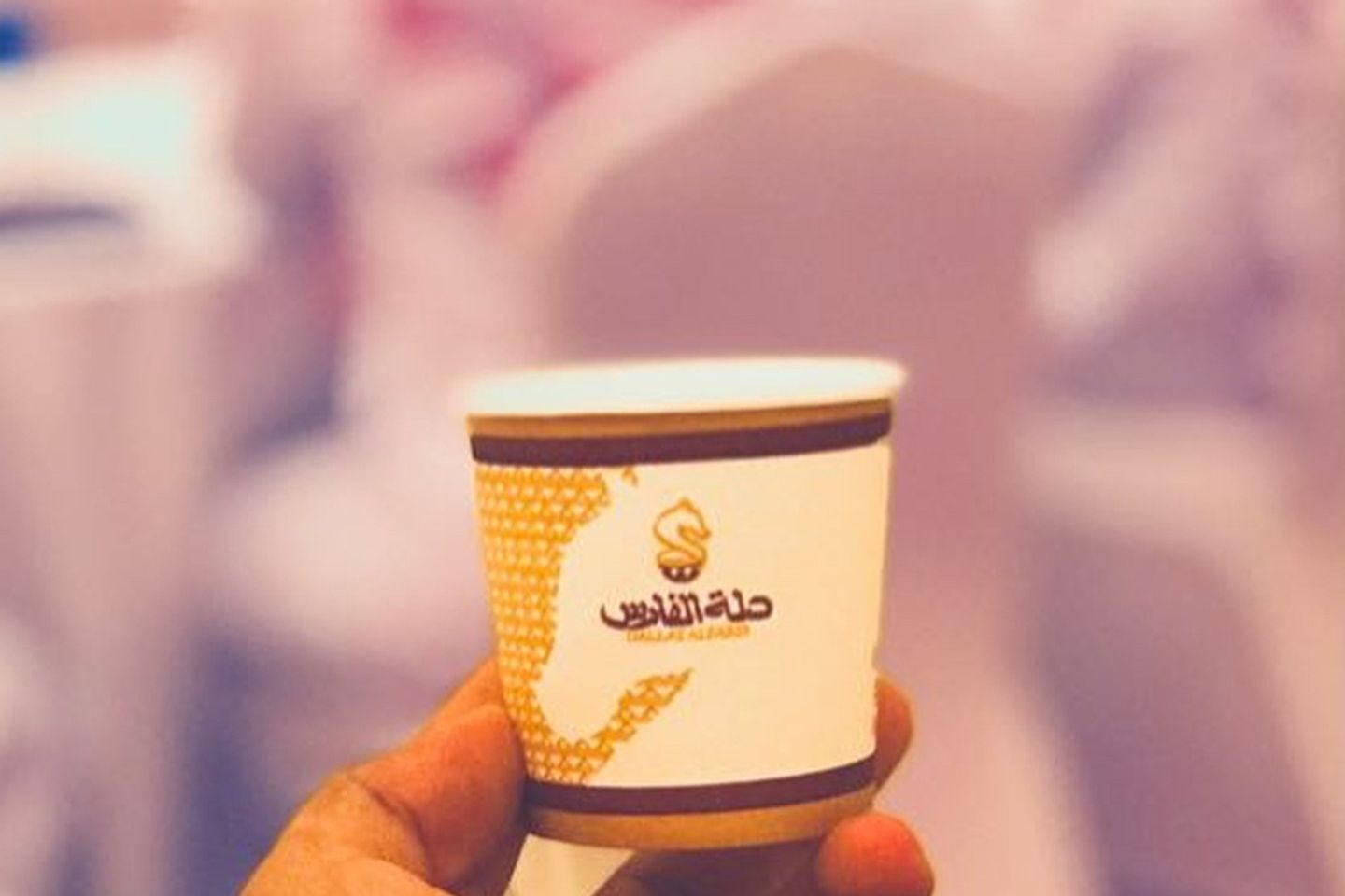 مياه نوفا 0.33 لتر