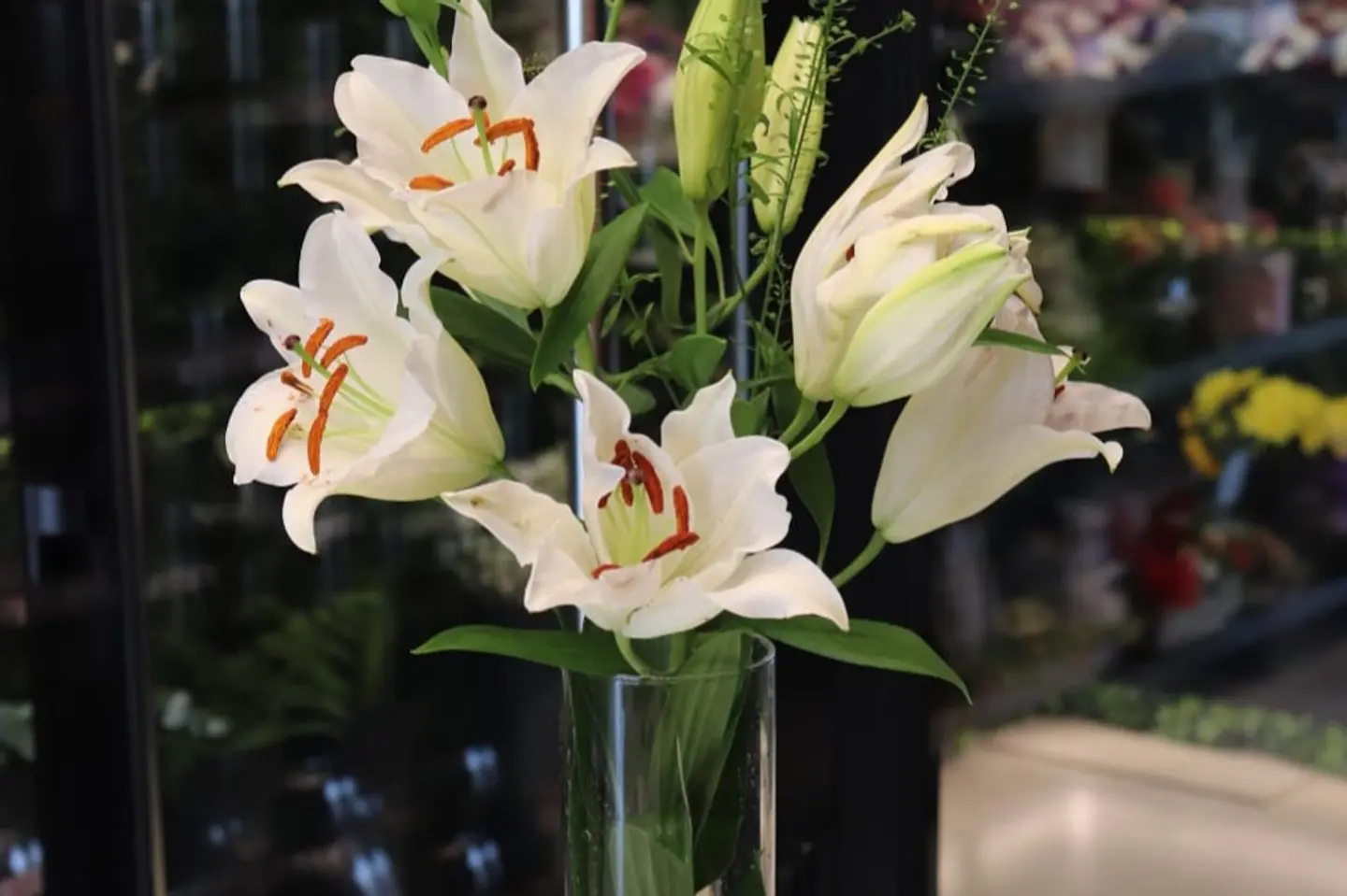 Casablanca Vase White