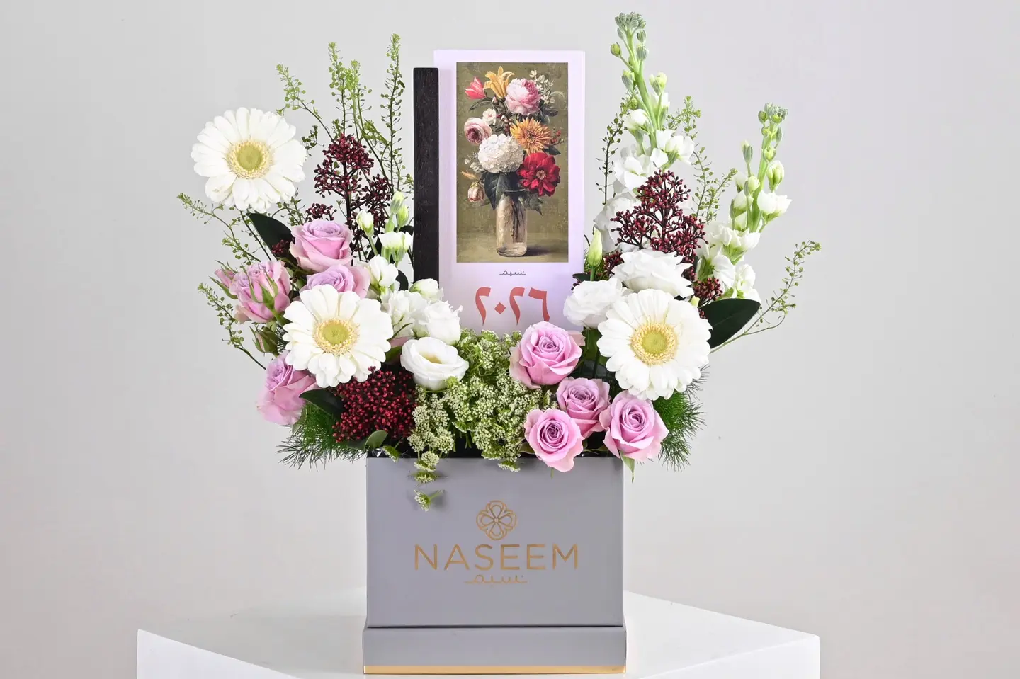 بوكس بداية جديدة