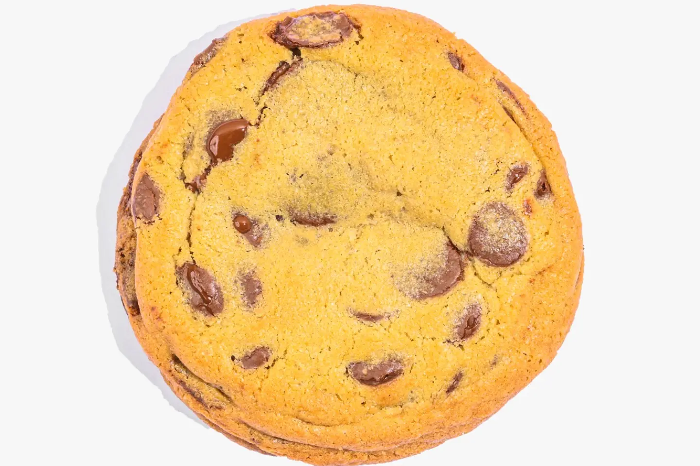 Chocolate Cookie