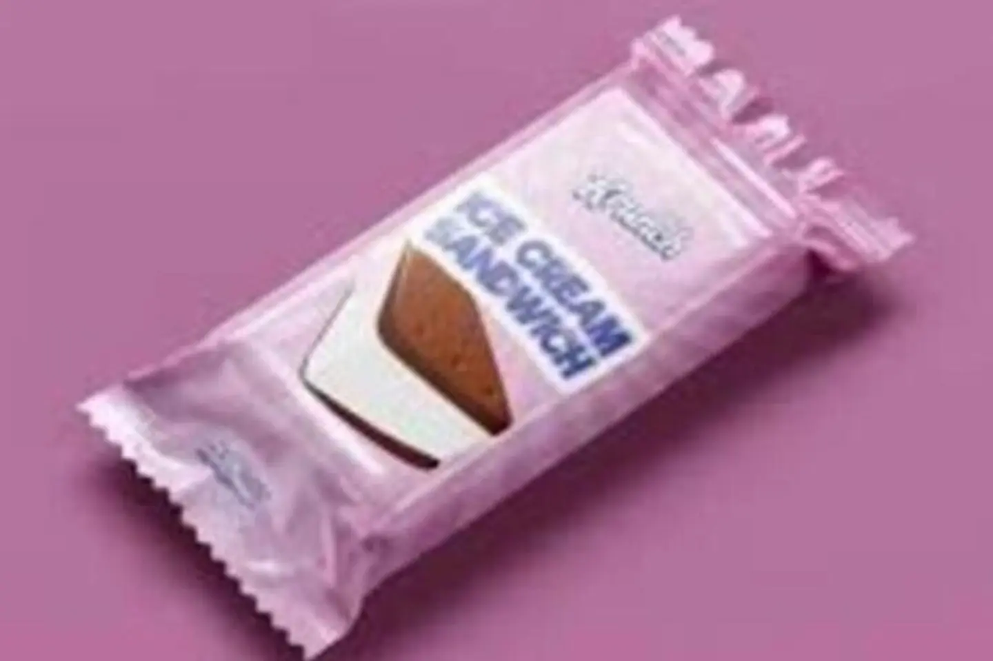 Freeze Dried Sandwich Ice Cream 42g