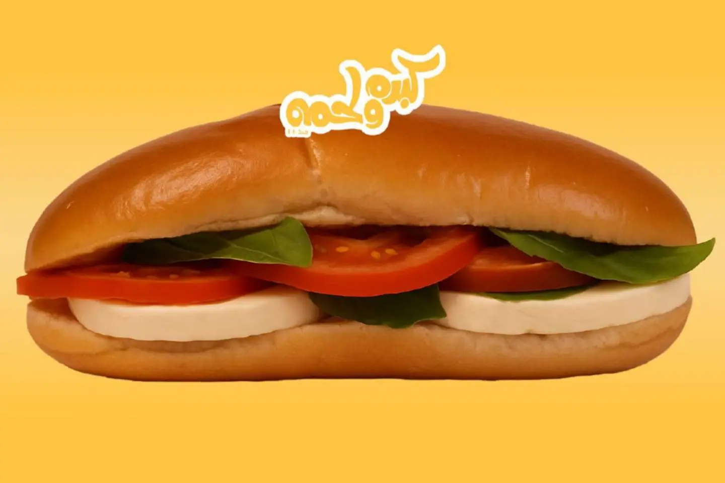Halloumi Sandwich