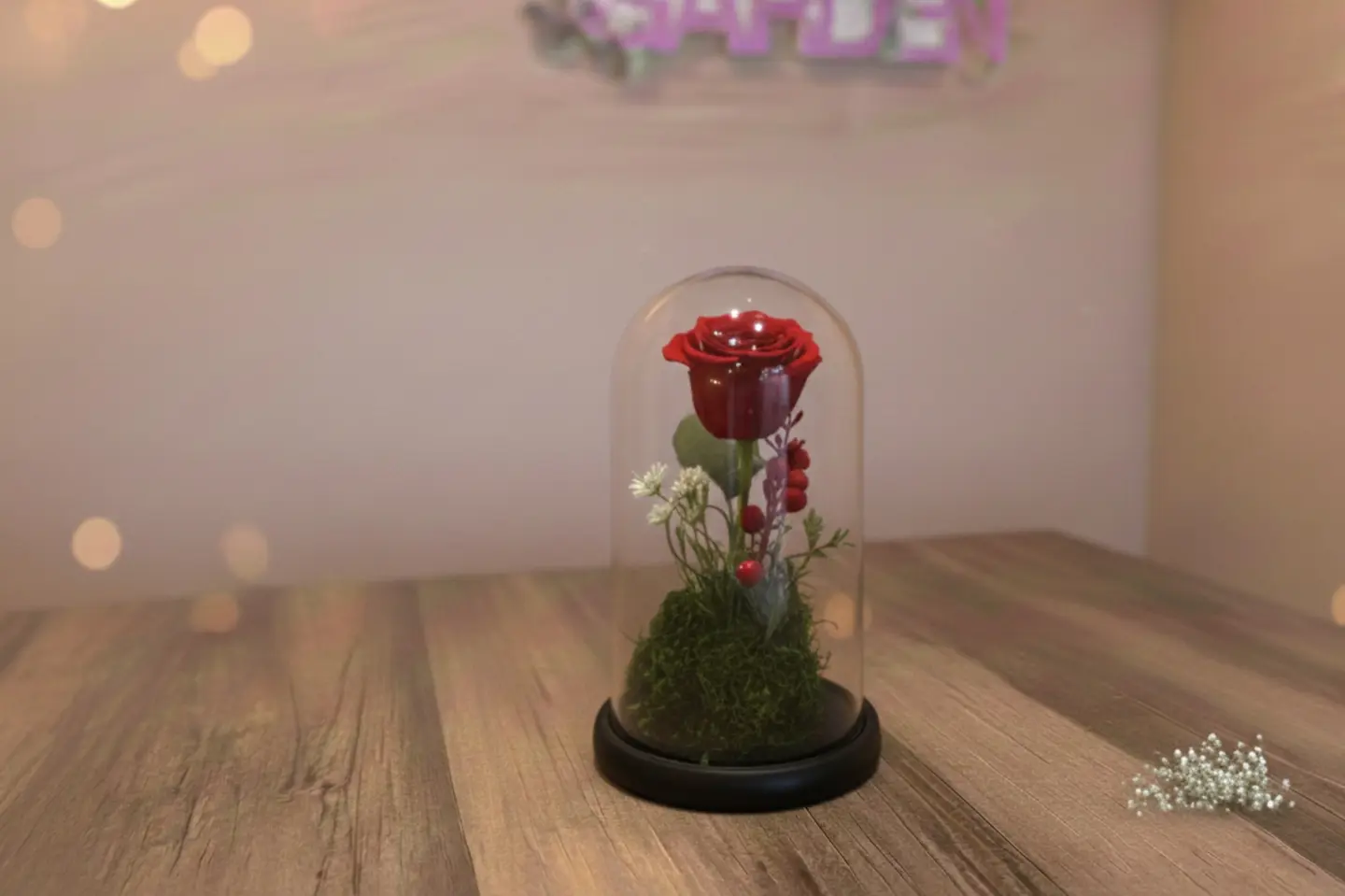 وردة السنة الجديدة جوري تدوم لعام كامل