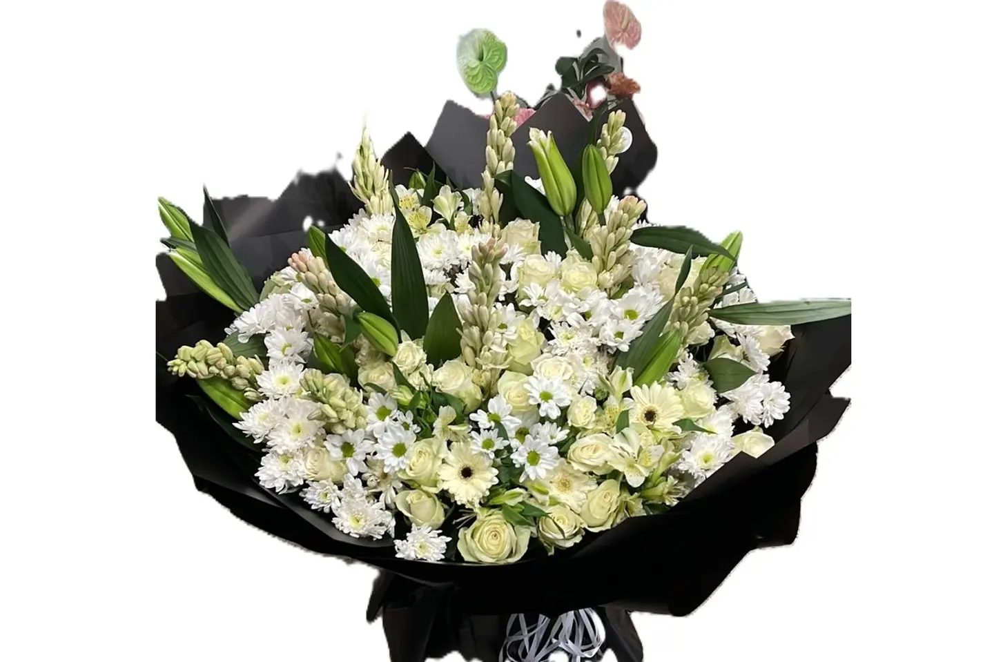 باقه حجم كبير